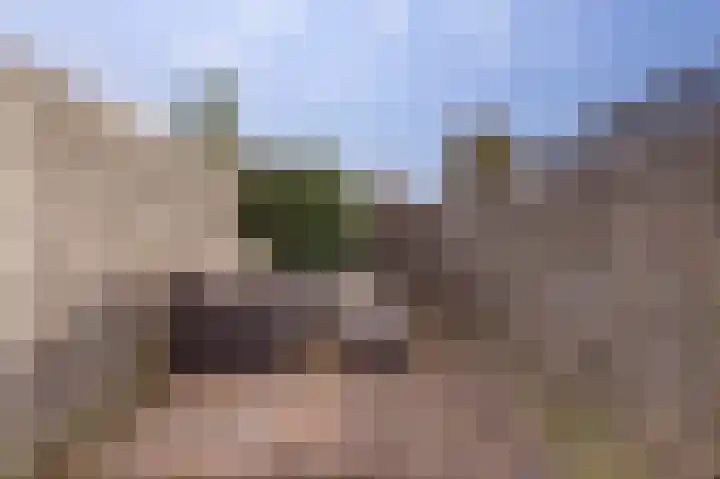 Steenbokweide 9 Nieuwegein thumbnail 28