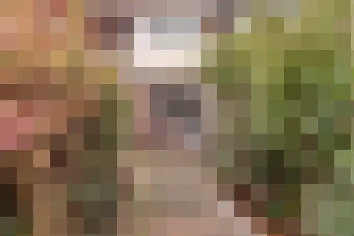Steenbokweide 9 Nieuwegein thumbnail 29