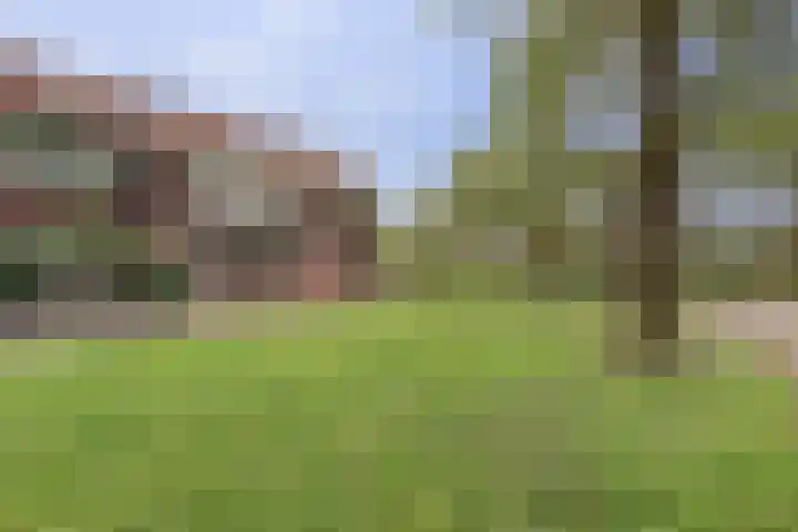 Steenbokweide 9 Nieuwegein thumbnail 34