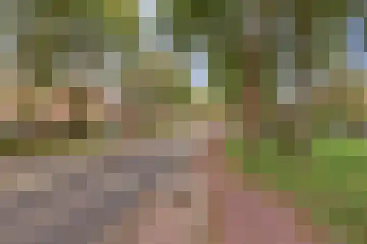 Steenbokweide 9 Nieuwegein thumbnail 6