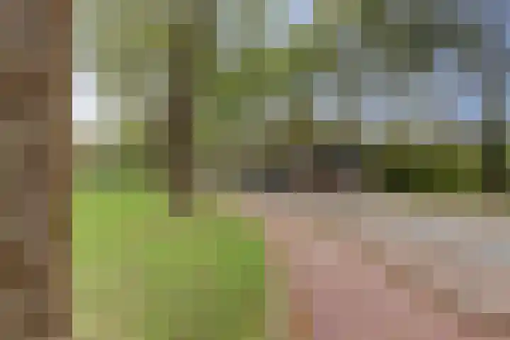 Steenbokweide 9 Nieuwegein thumbnail 7