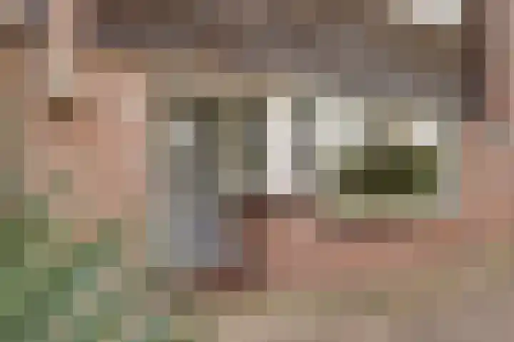 Steenbokweide 9 Nieuwegein thumbnail 9