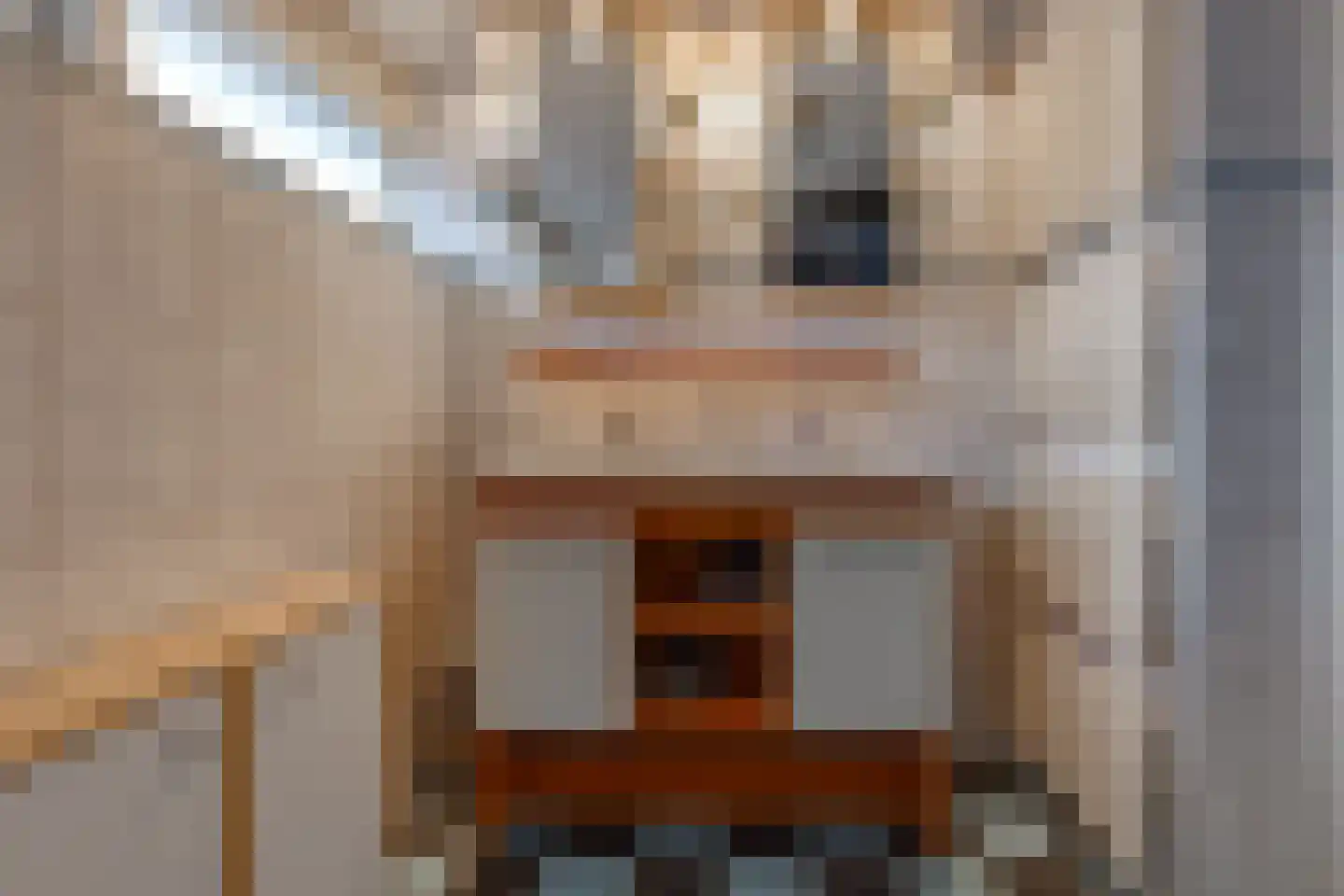 Steenbraam 17 Ter Apel thumbnail 23