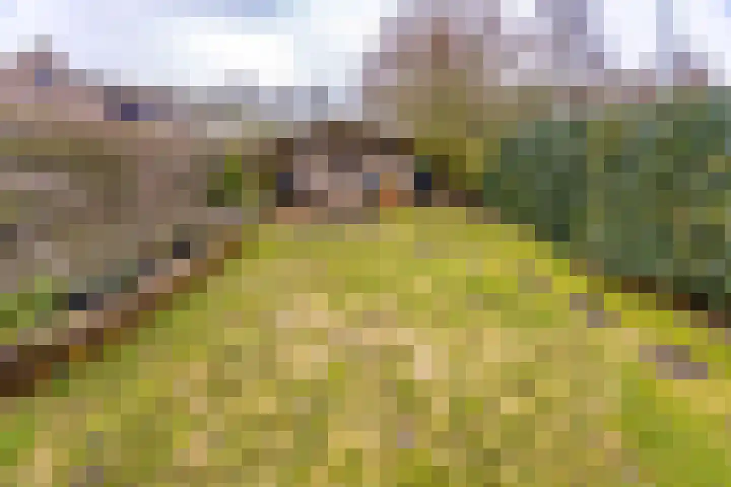 Steenbraam 17 Ter Apel thumbnail 39