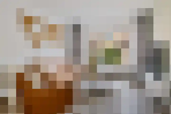 Steenbraam 27 Ter Apel thumbnail 10