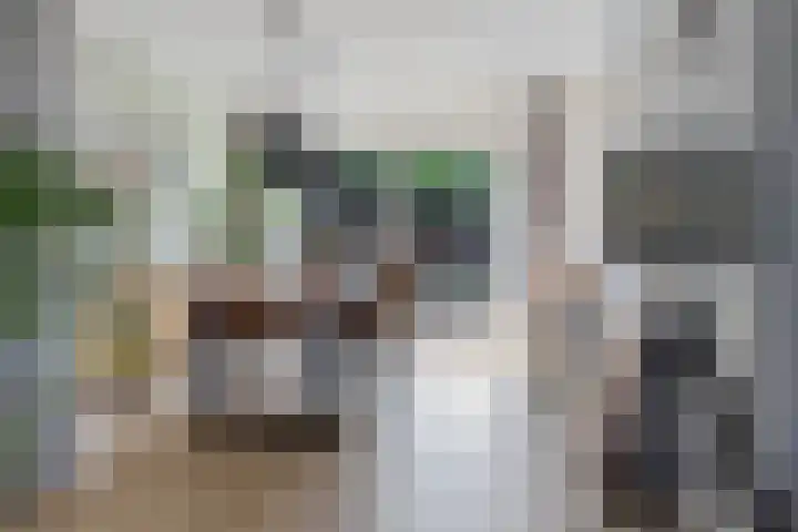Steenbraam 27 Ter Apel thumbnail 13