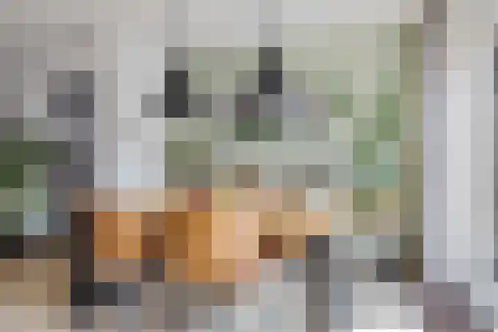 Steenbraam 27 Ter Apel thumbnail 14