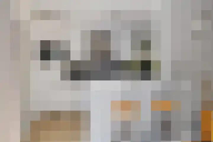 Steenbraam 27 Ter Apel thumbnail 15