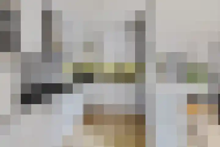 Steenbraam 27 Ter Apel thumbnail 16
