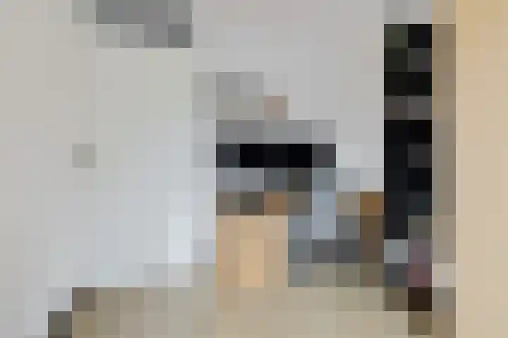Steenbraam 27 Ter Apel thumbnail 23