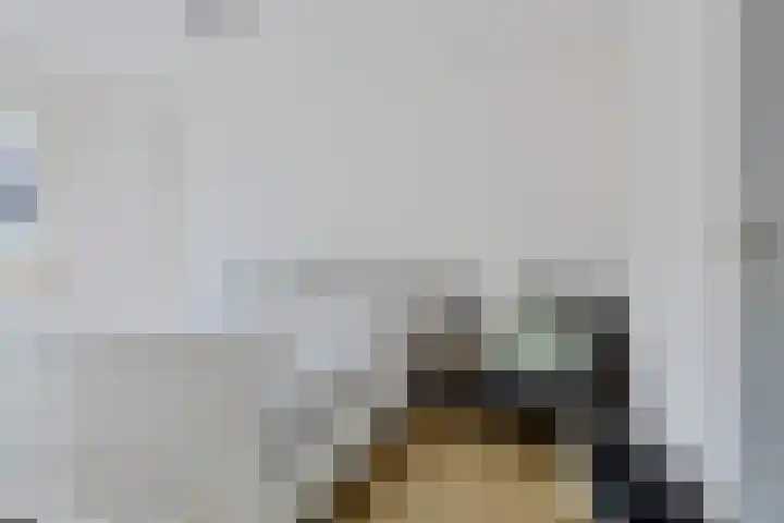 Steenbraam 27 Ter Apel thumbnail 24