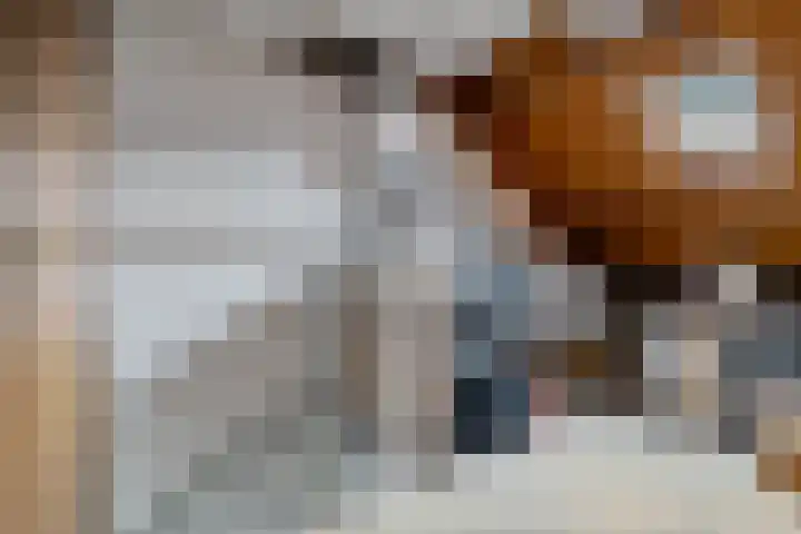 Steenbraam 27 Ter Apel thumbnail 34