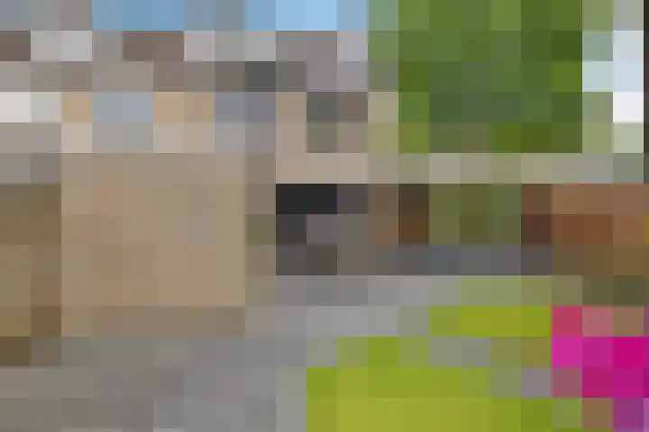 Steenbraam 27 Ter Apel thumbnail 38