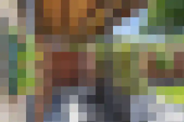 Steenbraam 27 Ter Apel thumbnail 43