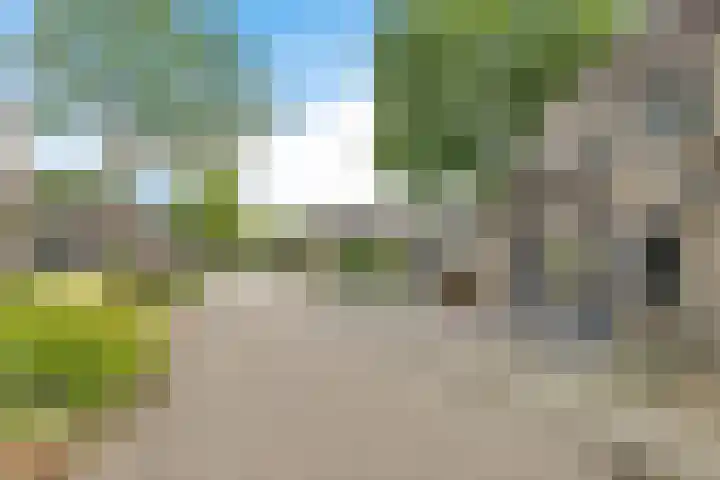 Steenbraam 27 Ter Apel thumbnail 5