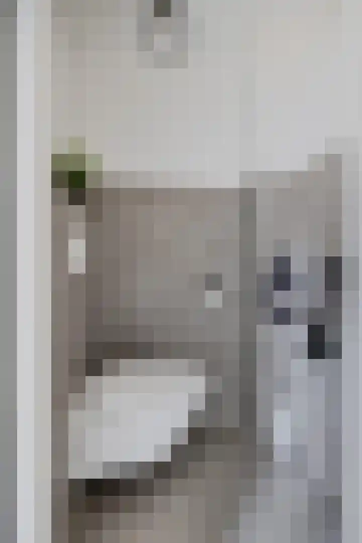 Steenbraam 27 Ter Apel thumbnail 8