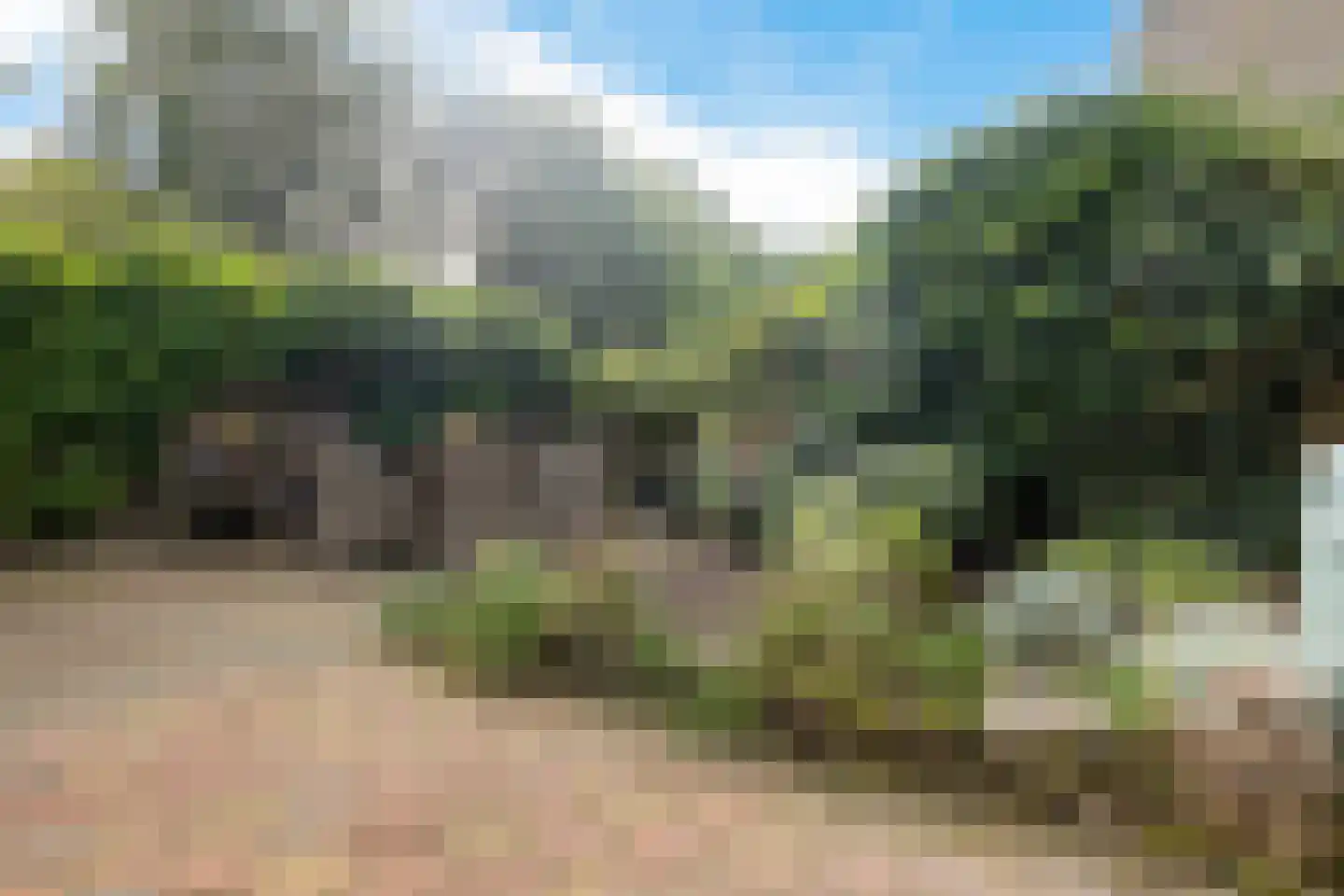 Steenbraam 31 Ter Apel thumbnail 42