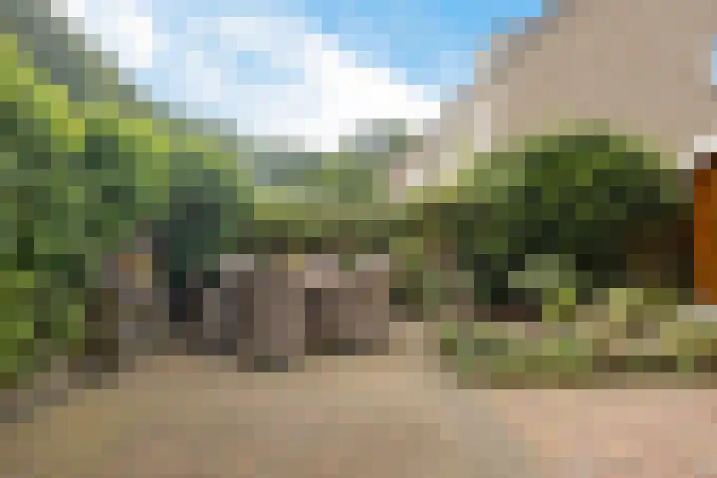 Steenbraam 31 Ter Apel thumbnail 43