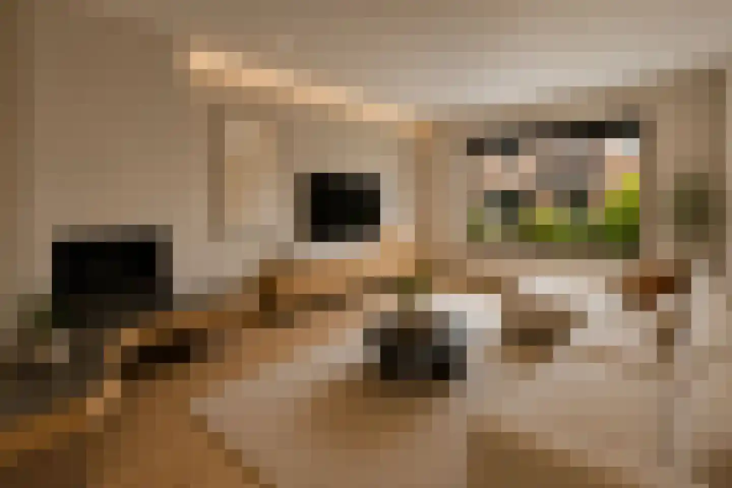 Steenbraam 35 Ter Apel thumbnail 10