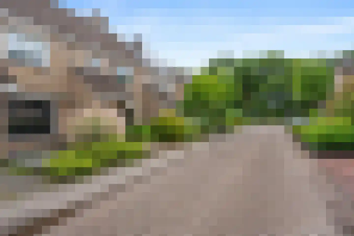 Steenbraam 35 Ter Apel thumbnail 29