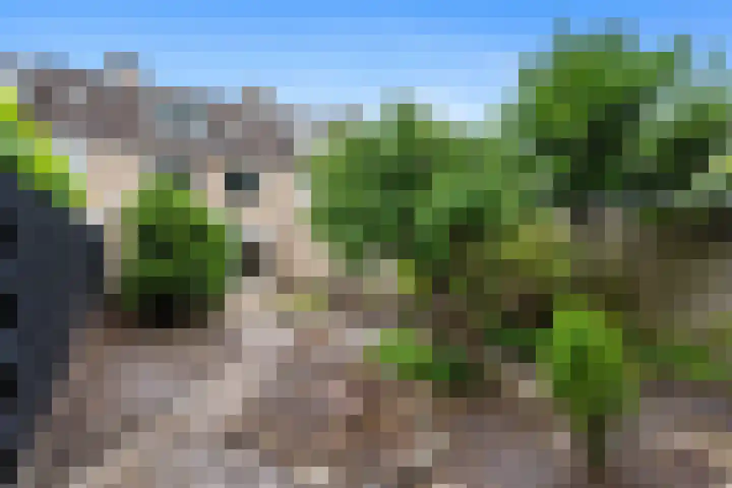 Steenbraam 35 Ter Apel thumbnail 5