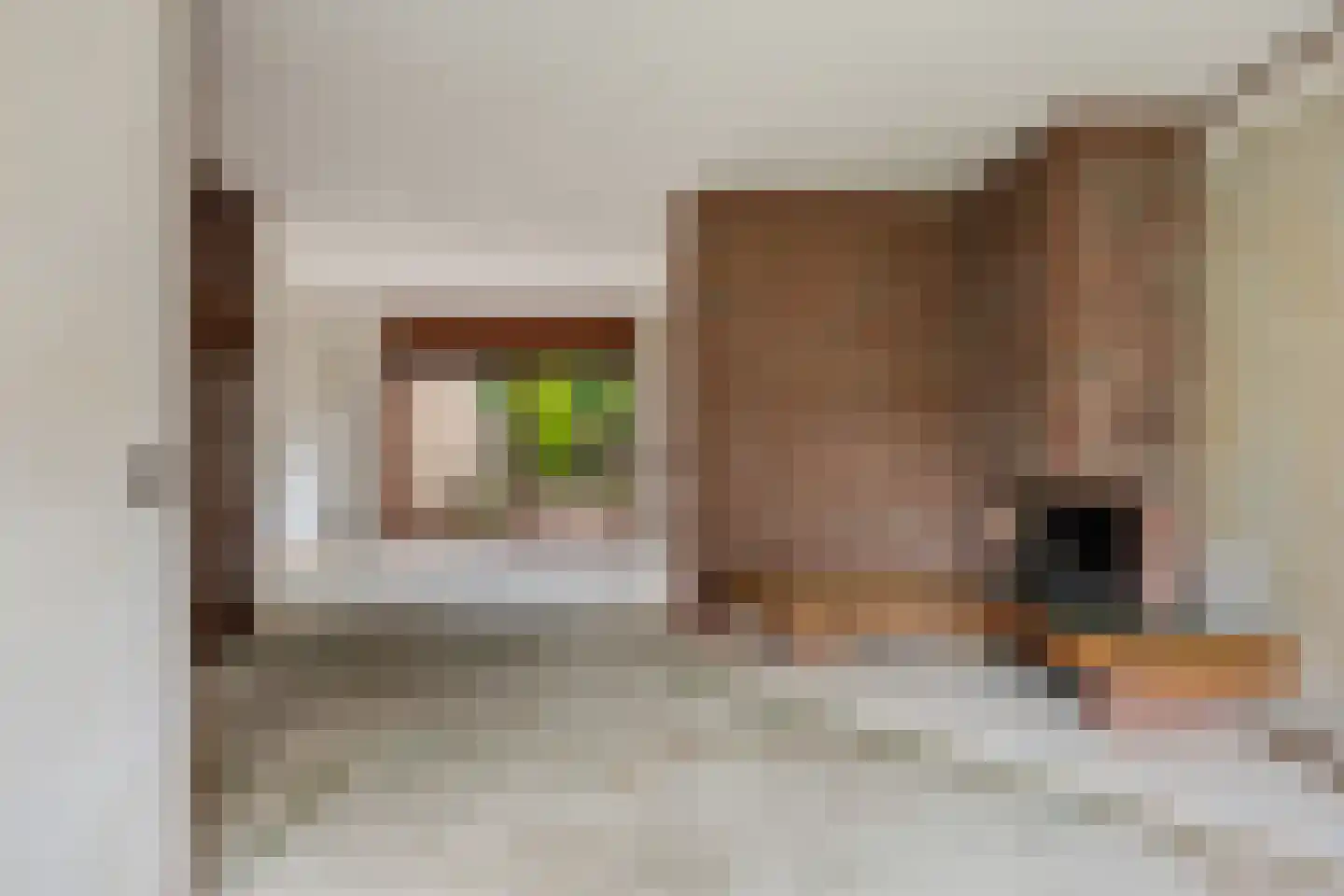 Steenbraam 35 Ter Apel thumbnail 7