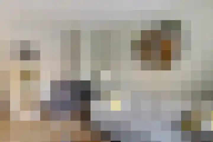 Steenbraam 41 Ter Apel thumbnail 10