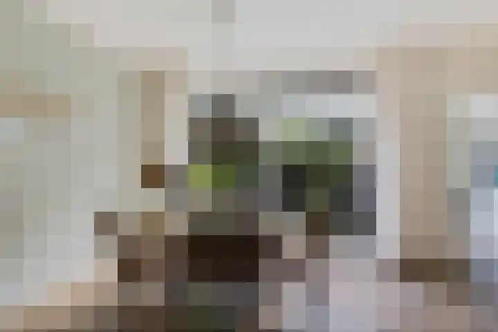 Steenbraam 41 Ter Apel thumbnail 12