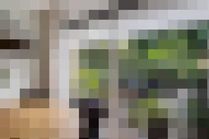 Steenbraam 41 Ter Apel thumbnail 14