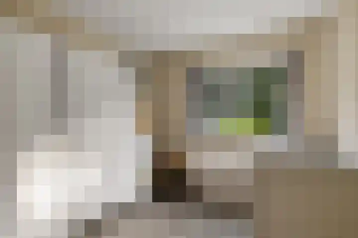 Steenbraam 41 Ter Apel thumbnail 21