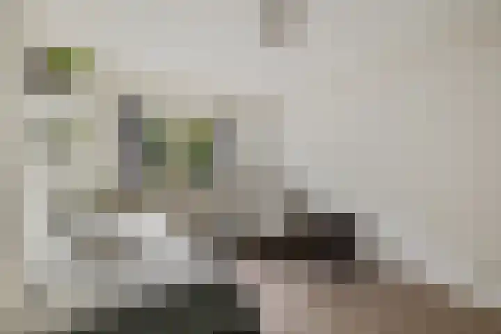Steenbraam 41 Ter Apel thumbnail 24