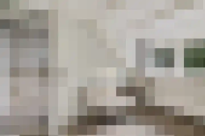 Steenbraam 41 Ter Apel thumbnail 27