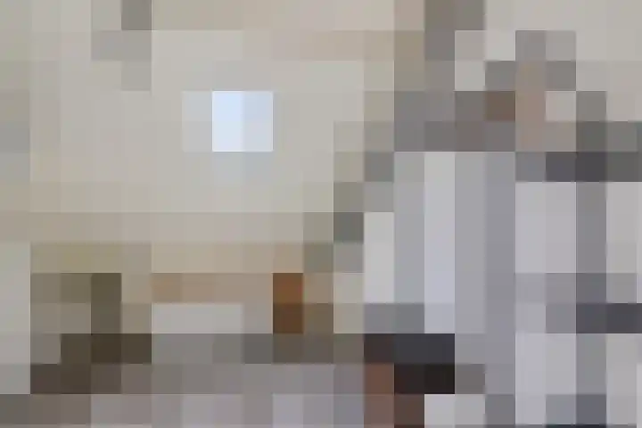 Steenbraam 41 Ter Apel thumbnail 28