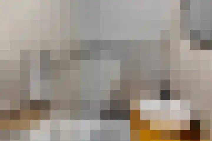Steenbraam 41 Ter Apel thumbnail 30