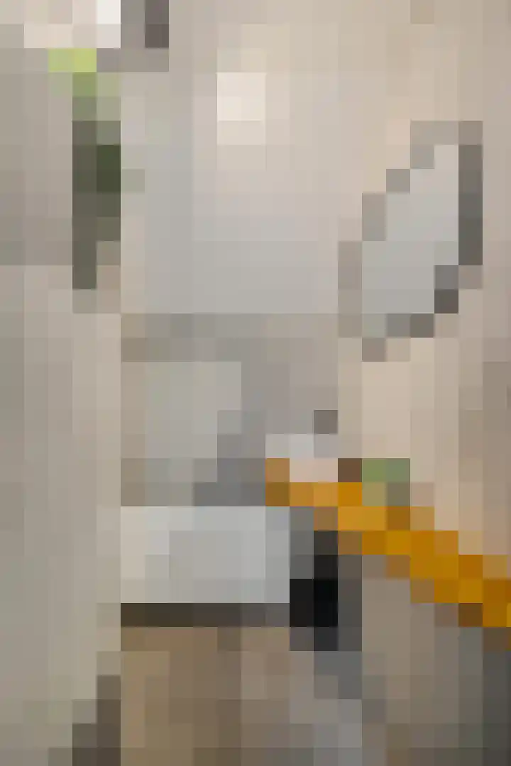Steenbraam 41 Ter Apel thumbnail 32