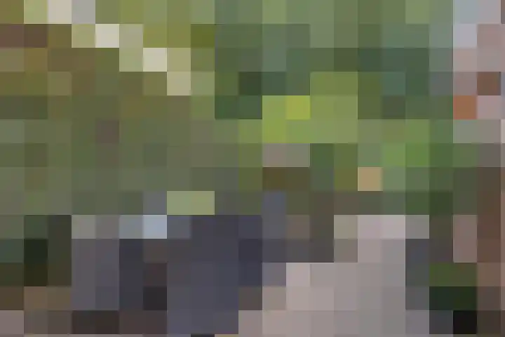 Steenbraam 41 Ter Apel thumbnail 33