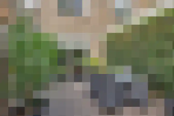 Steenbraam 41 Ter Apel thumbnail 34