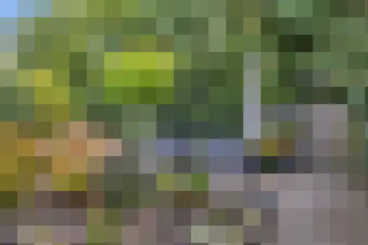 Steenbraam 41 Ter Apel thumbnail 35