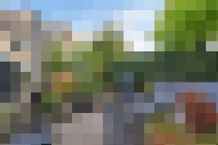 Steenbraam 41 Ter Apel thumbnail 36