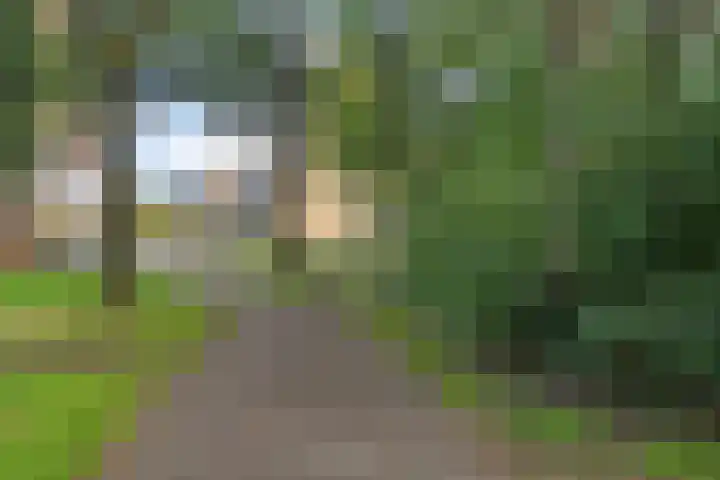 Steenbraam 41 Ter Apel thumbnail 40