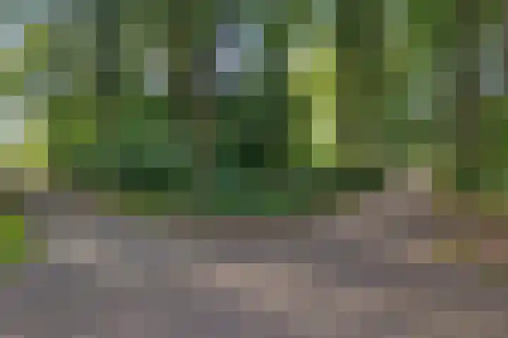 Steenbraam 41 Ter Apel thumbnail 41