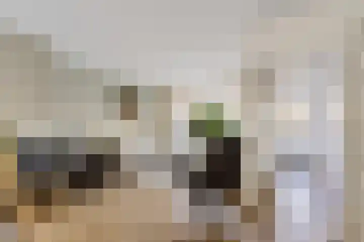 Steenbraam 41 Ter Apel thumbnail 7