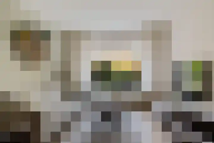 Steenbraam 41 Ter Apel thumbnail 8