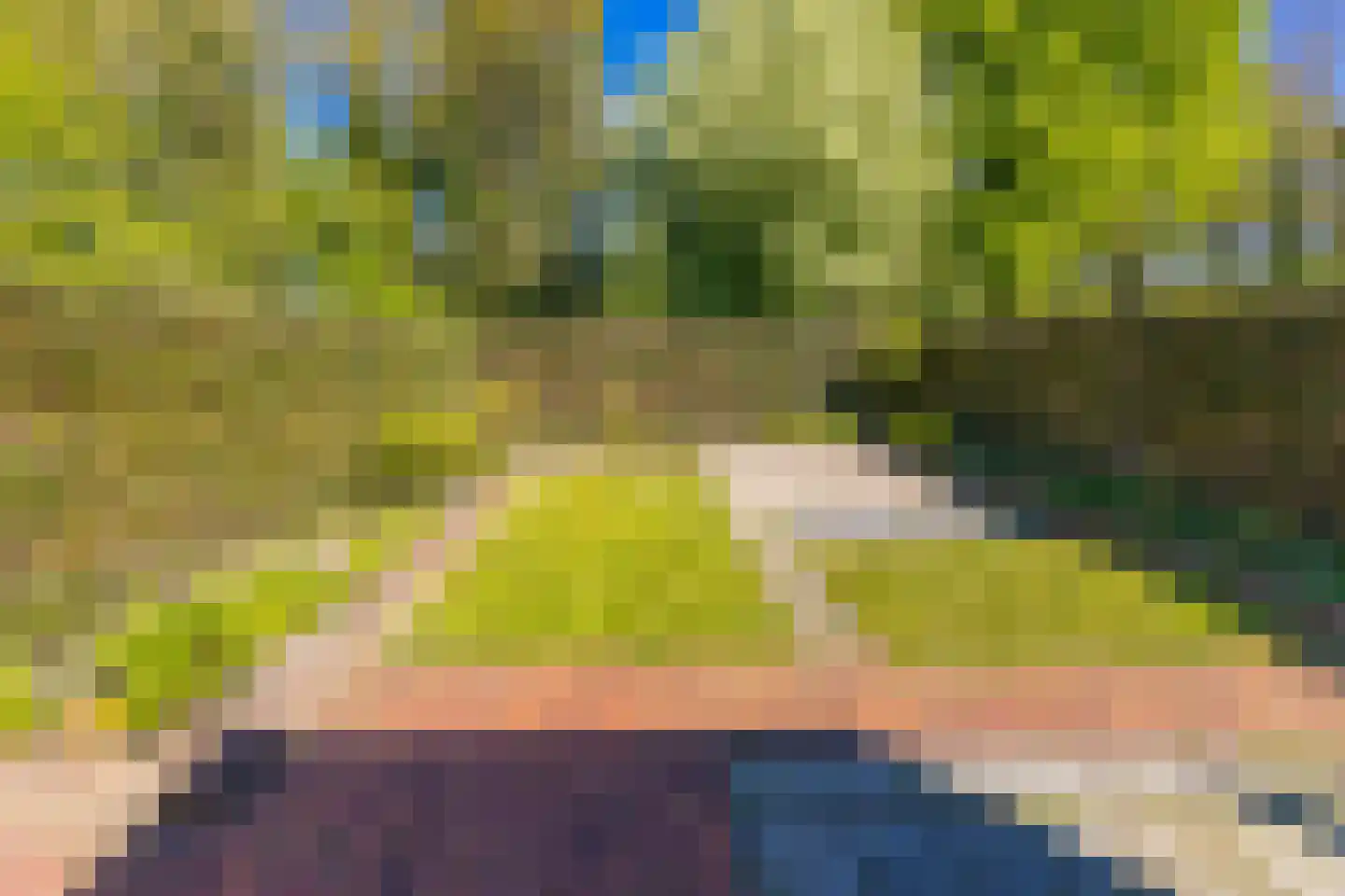 Steenbraam 43 Ter Apel thumbnail 42