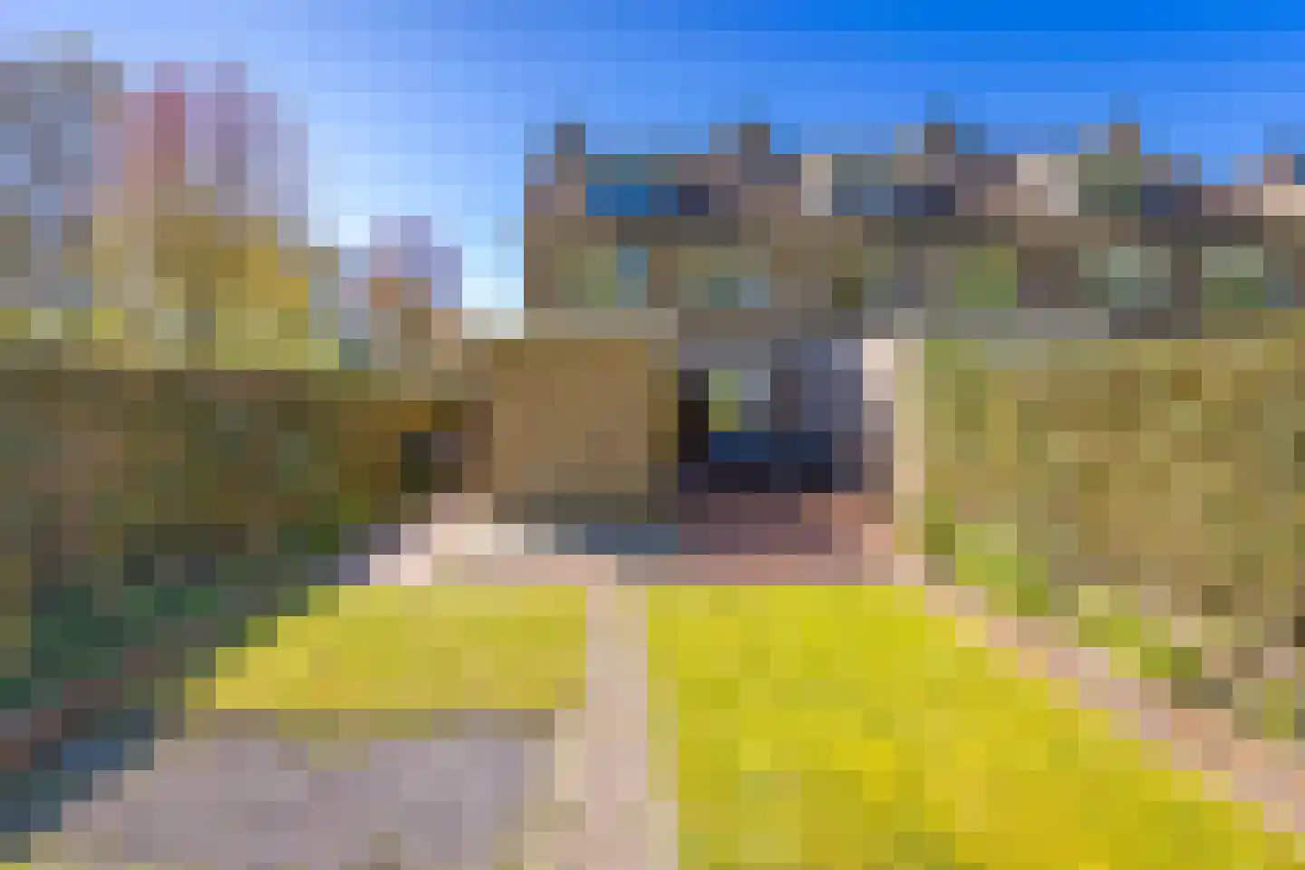 Steenbraam 43 Ter Apel thumbnail 5