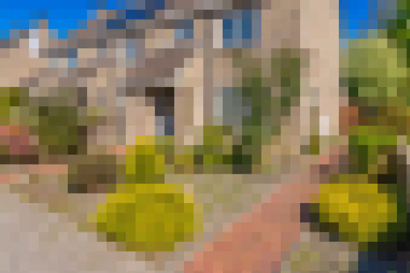Steenbraam 43 Ter Apel thumbnail 7