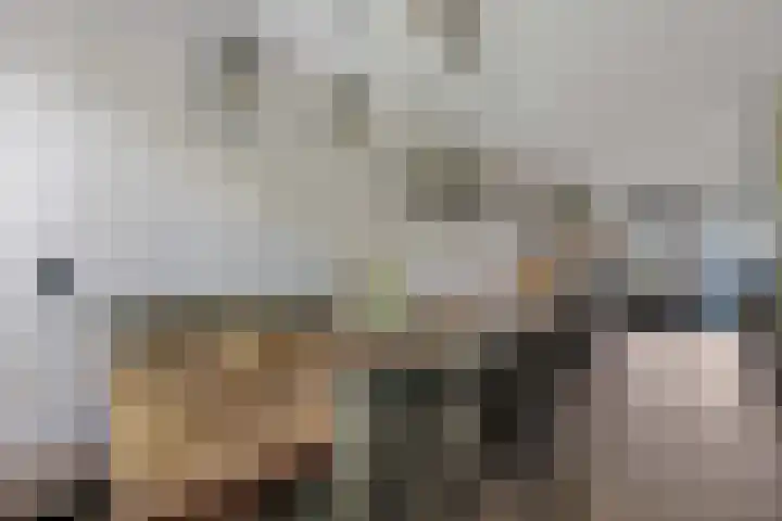 Steenbreek 61 Klazienaveen thumbnail 10