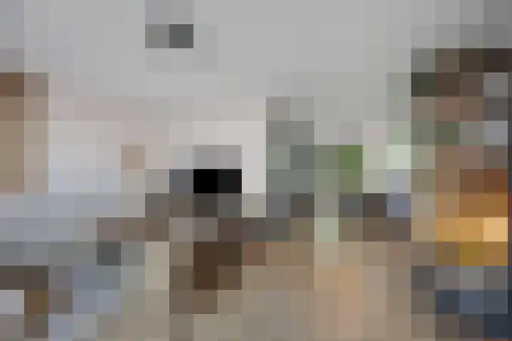Steenbreek 61 Klazienaveen thumbnail 11
