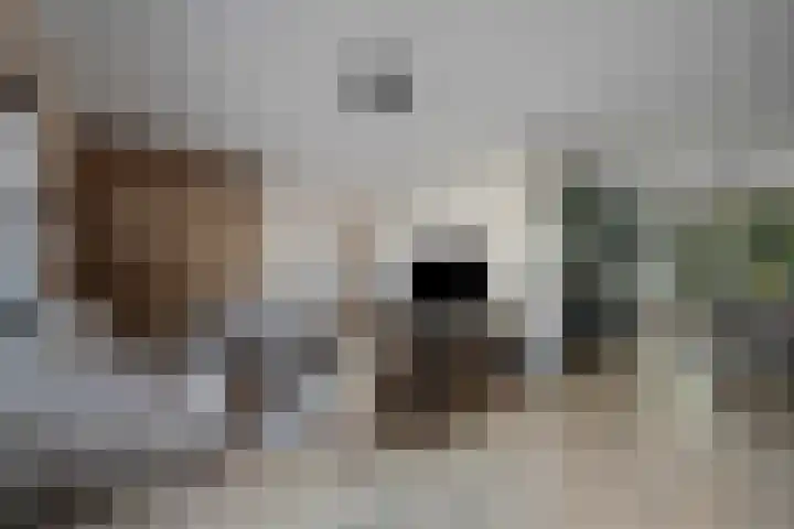 Steenbreek 61 Klazienaveen thumbnail 13