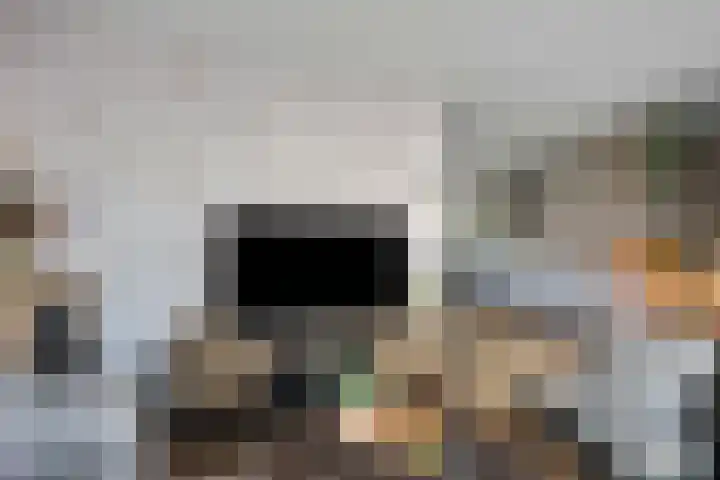 Steenbreek 61 Klazienaveen thumbnail 15